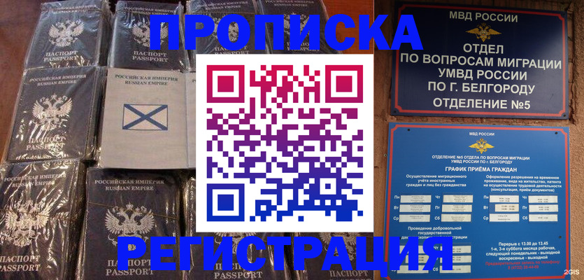 прописка гарантия в Гудермесе